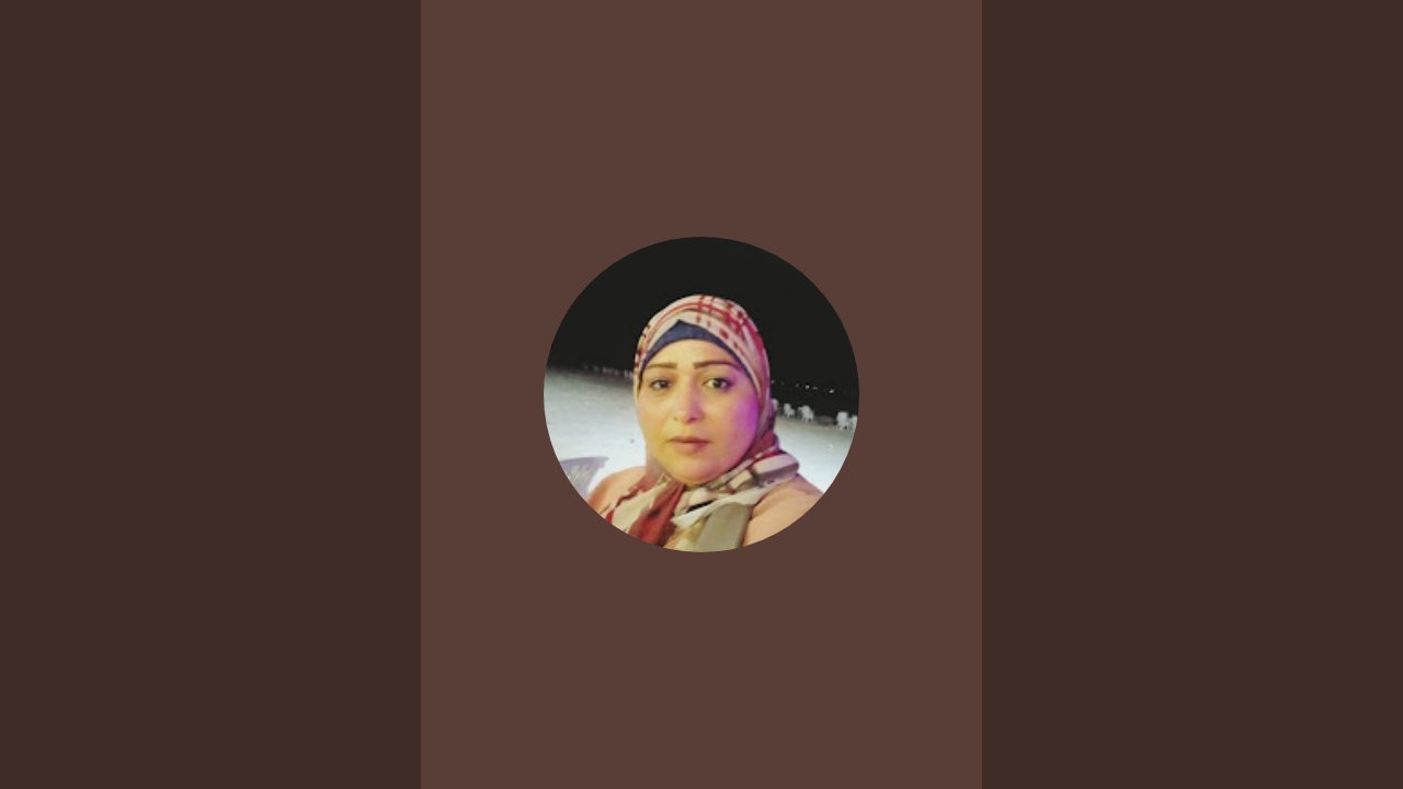 كلاب الشوارع
