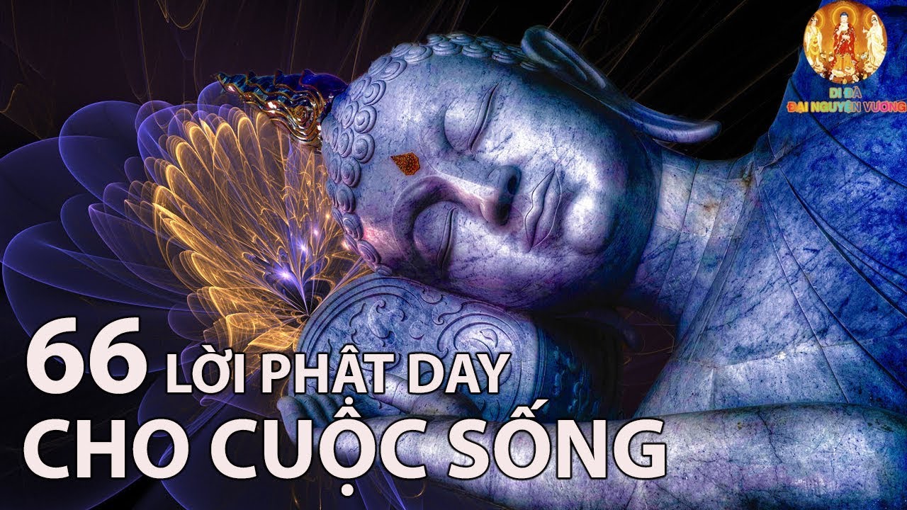 66 Lời Phật Dạy Cho Cuộc Sống Thảnh Thơi An L&agrave;nh  - (Lời Đọc Mới) #Mới Nhất