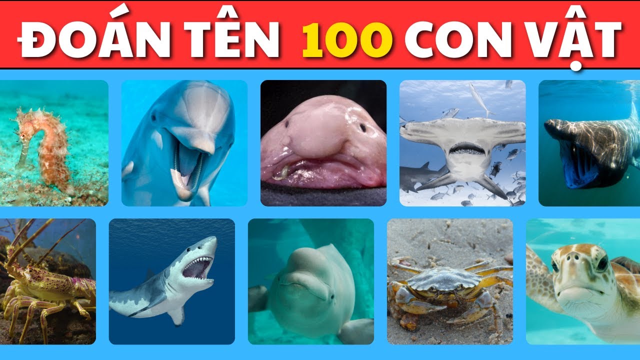 Bạn Có Đoán Được 100 Loài Sinh Vật Biển Trong 3 Giây? 🐬🦑 | Từ Dễ Đến Cực Khó!