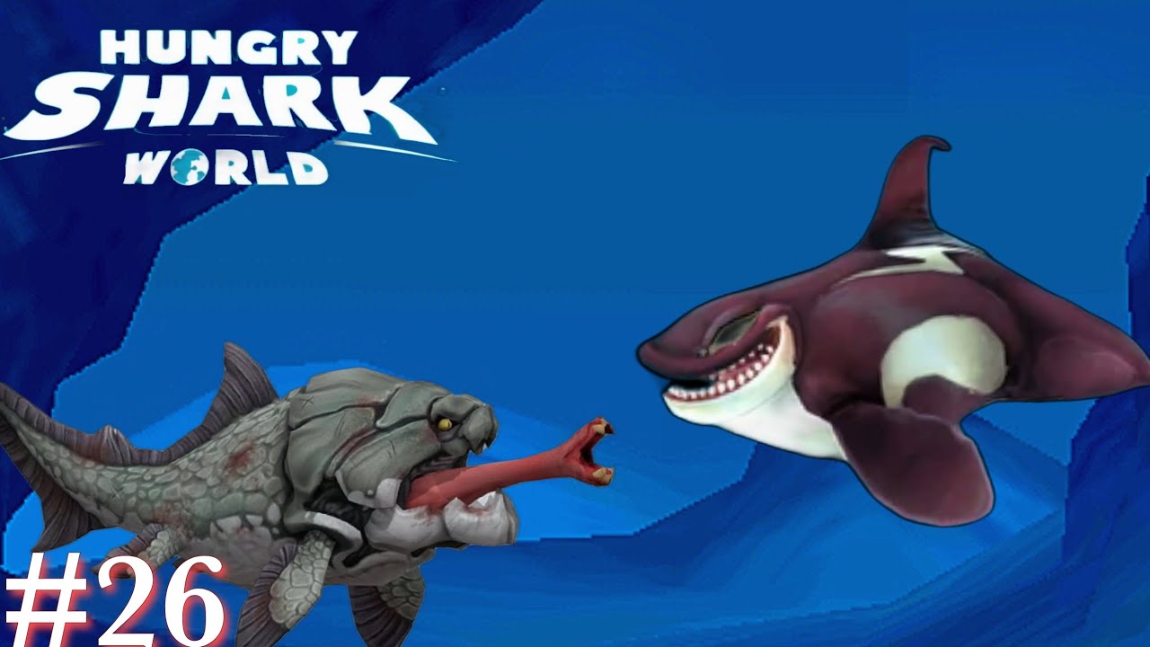 BALEIA ASSASINA VS MAMÃEZONA HUNRGY SHARK WORLD