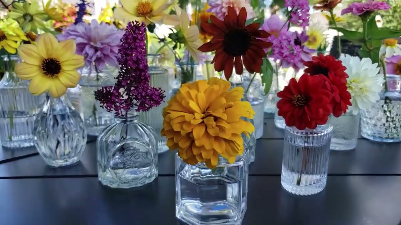 Glass Bud Vase Set