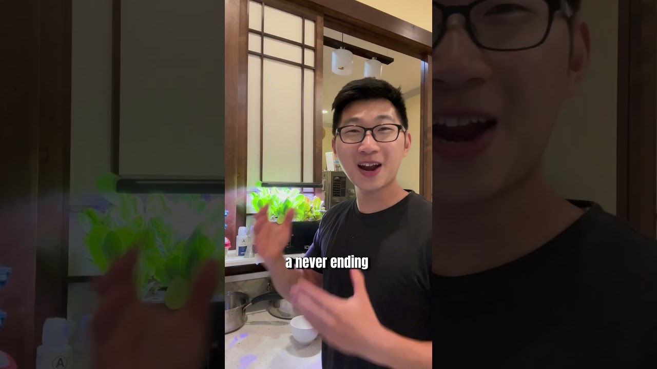 This is why I&rsquo;ll NEVER buy Romaine Lettuce again&hellip; #romainelettuce