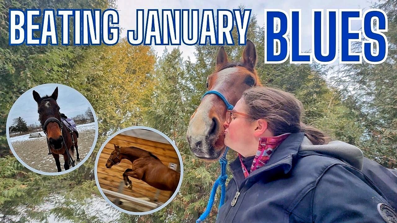 BEATING THE JANUARY BLUES 🌀 and building up Merlin's confidence through free jumping!