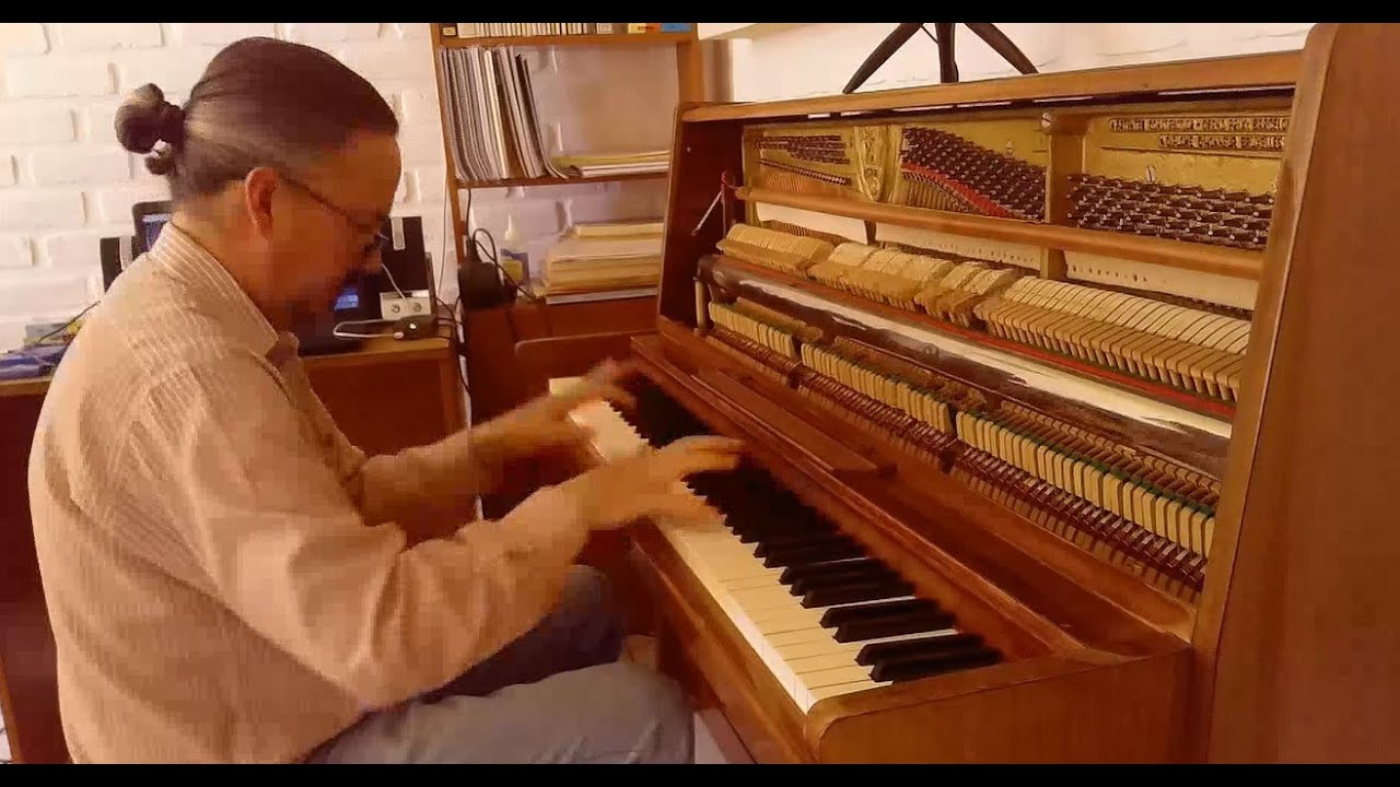 Franz Schubert - Momento Musical Nº3