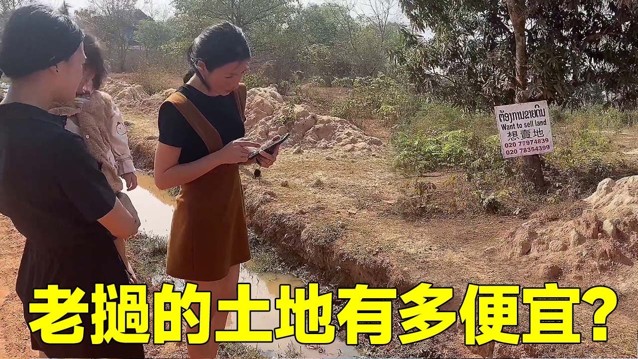 老撾土地簡直是白菜價，外國人卻沒有永久產權，這究竟怎麼回事？#老撾媳婦與禾草大叔
