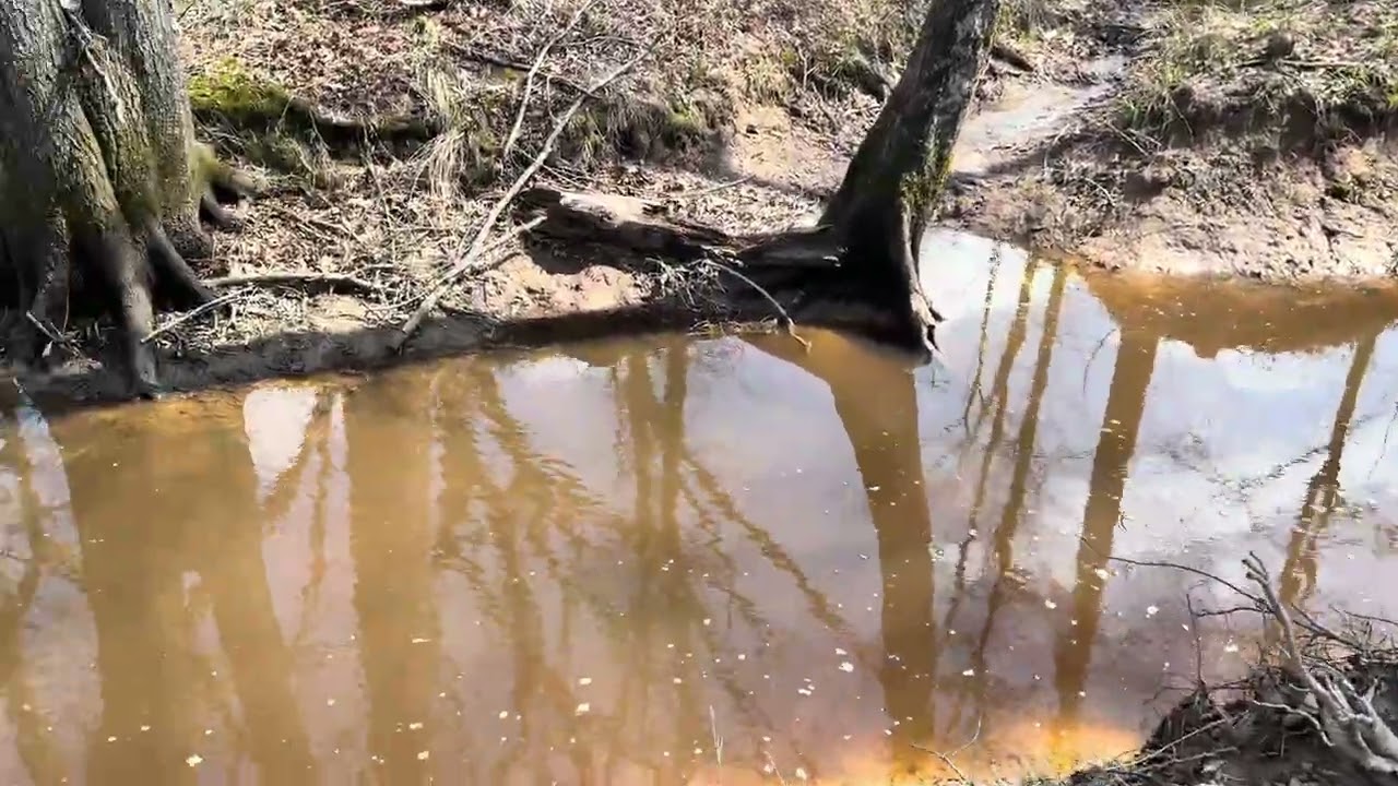 Magby Bottoms update on what all has been done
