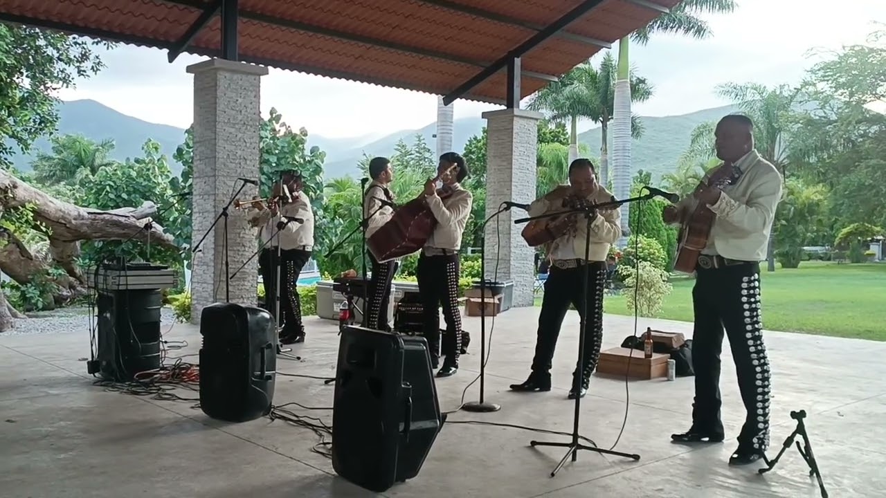 Zopilote Mojado 