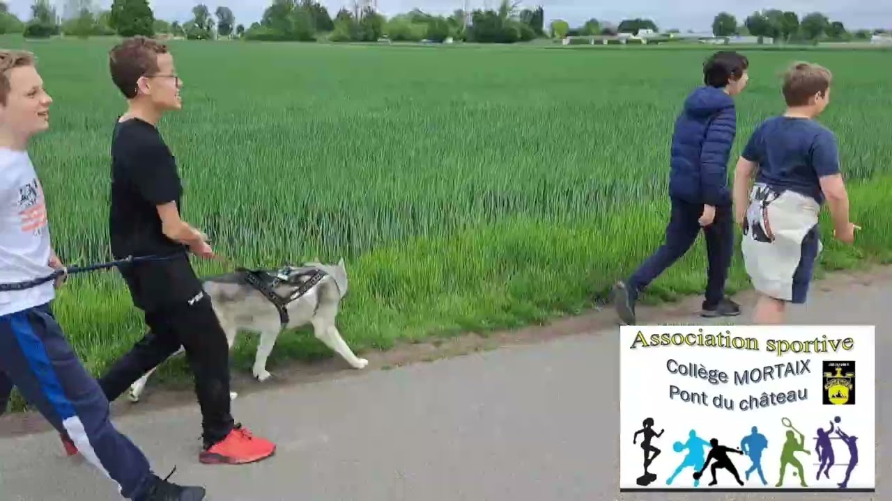 AS MORTAIX  &agrave; Gerzat : cani-rando, slack-line et course d'orientation
