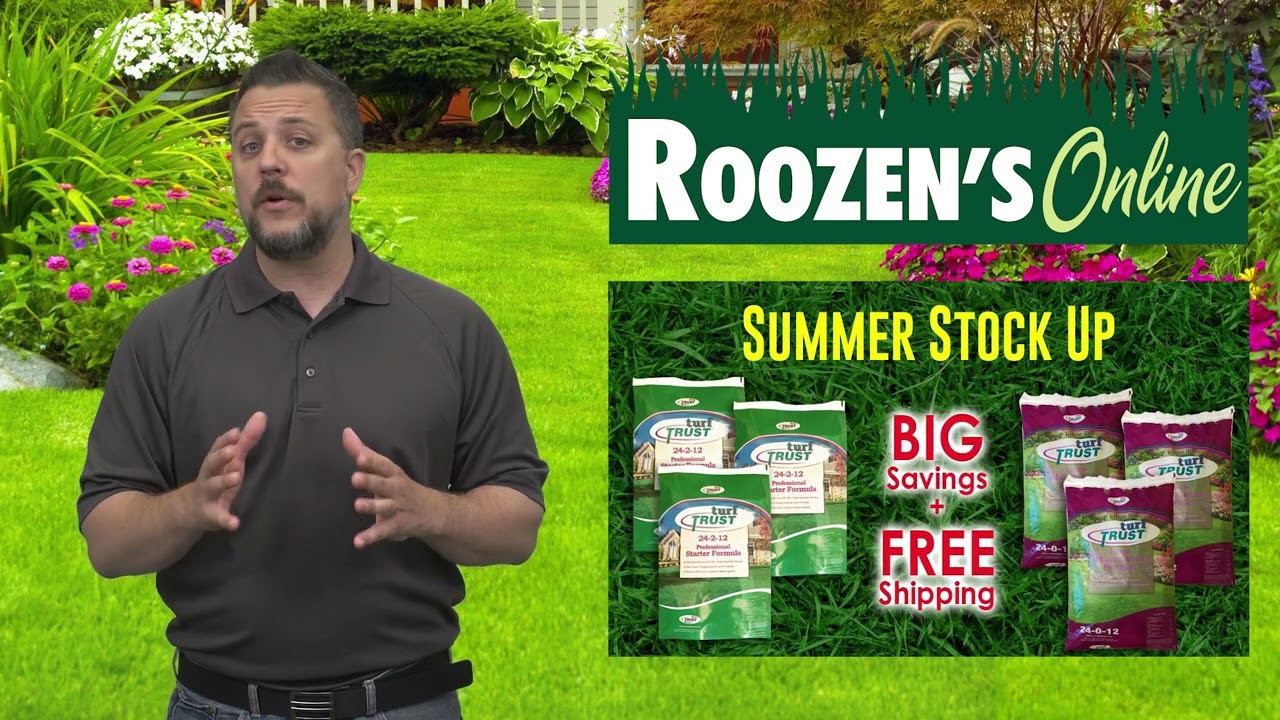 Roozen's Online  - Turf Trust Stock Up