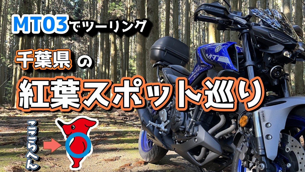 【MT03ツーリング】千葉の紅葉🍁ツイてない男の物語🏍️