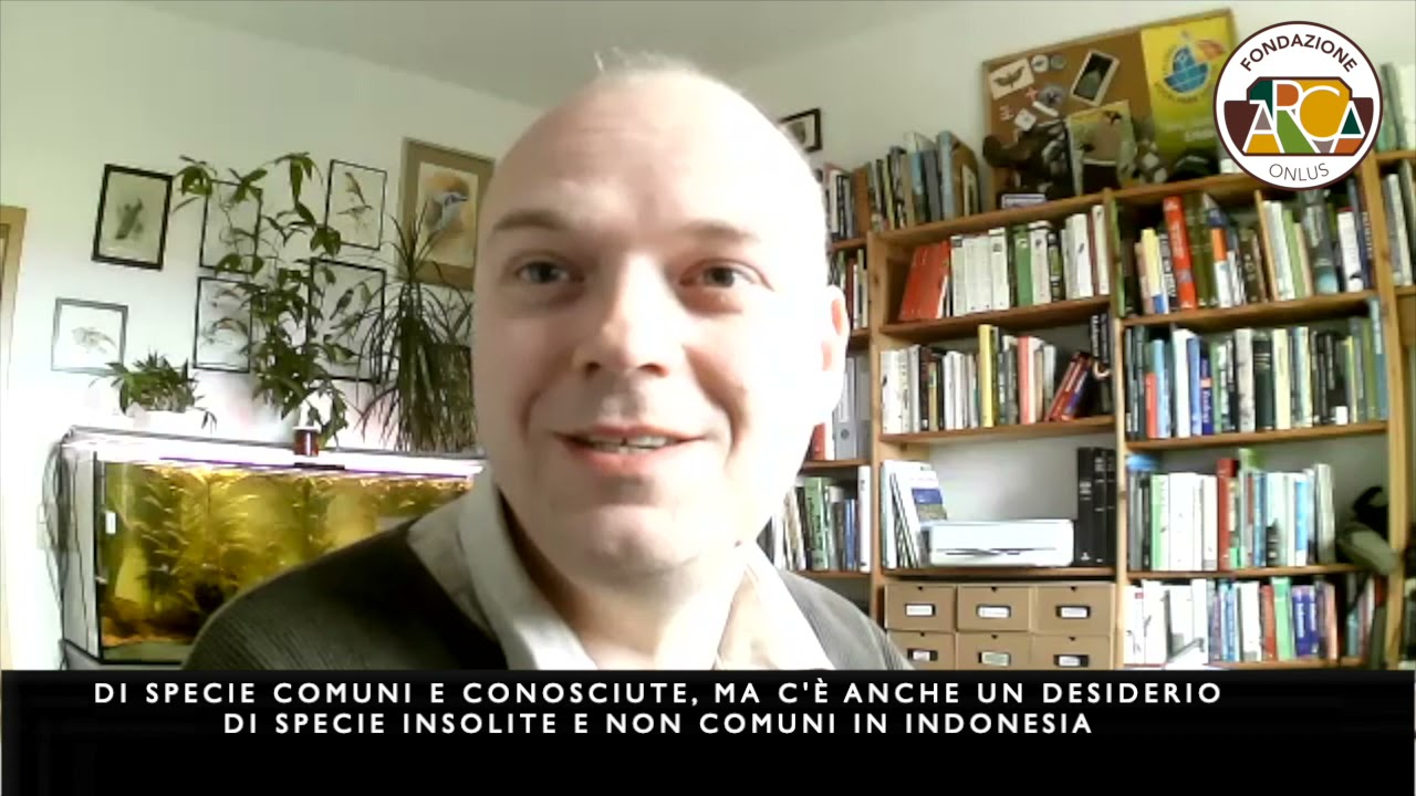 La crisi degli uccelli canori nel Sud Est asiatico