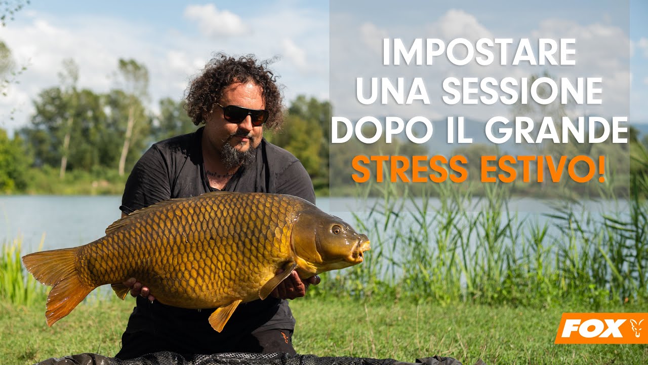 Impostare una sessione dopo il grande stress estivo con Michele