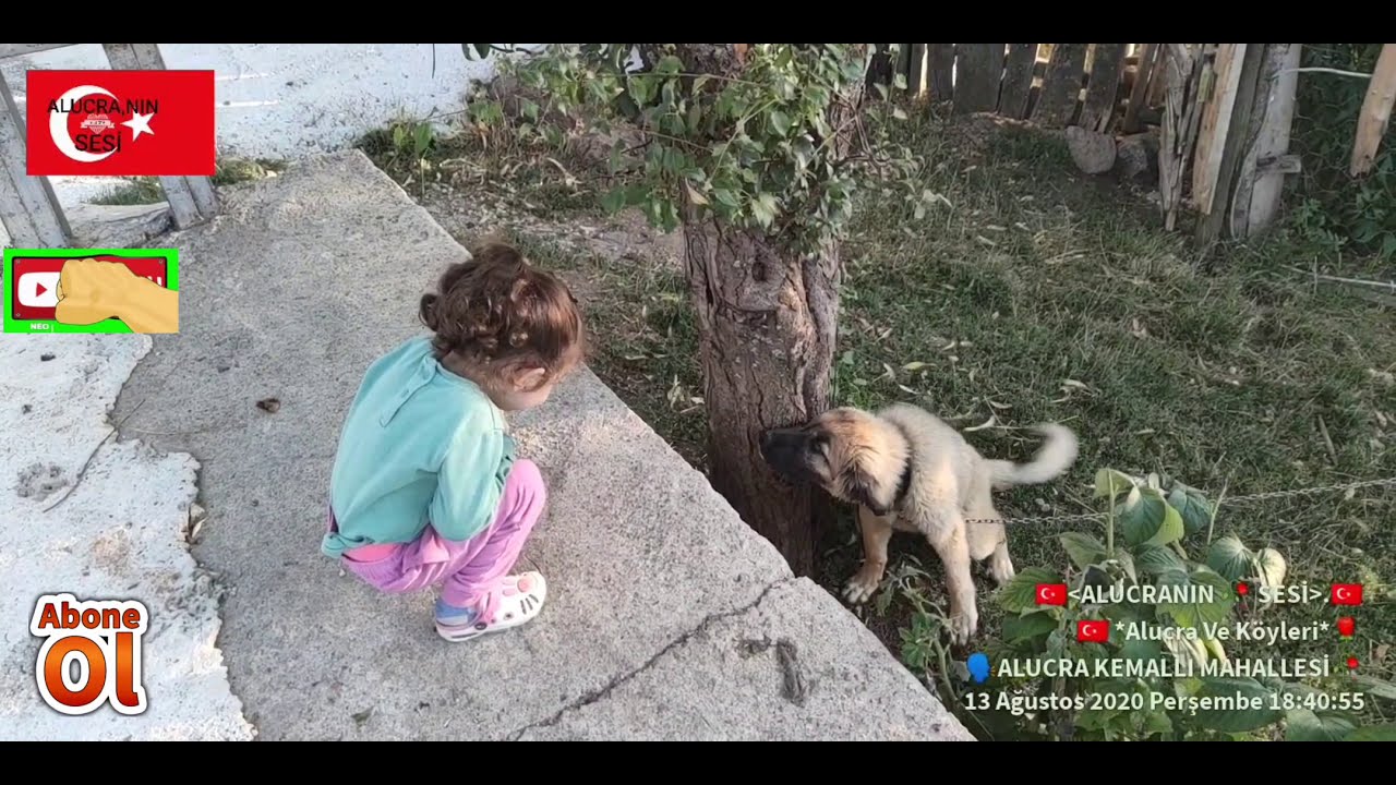 Alucra Kemallı Mahallesi 2020