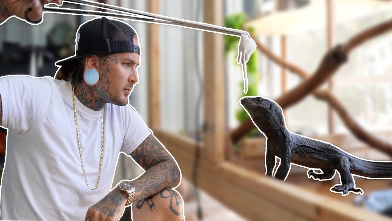 Feeding my Black Dragons and Venomous Lizards!
