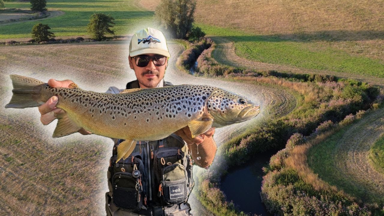 STREAMER da SPINFLY - Alla ricerca delle trote preistoriche