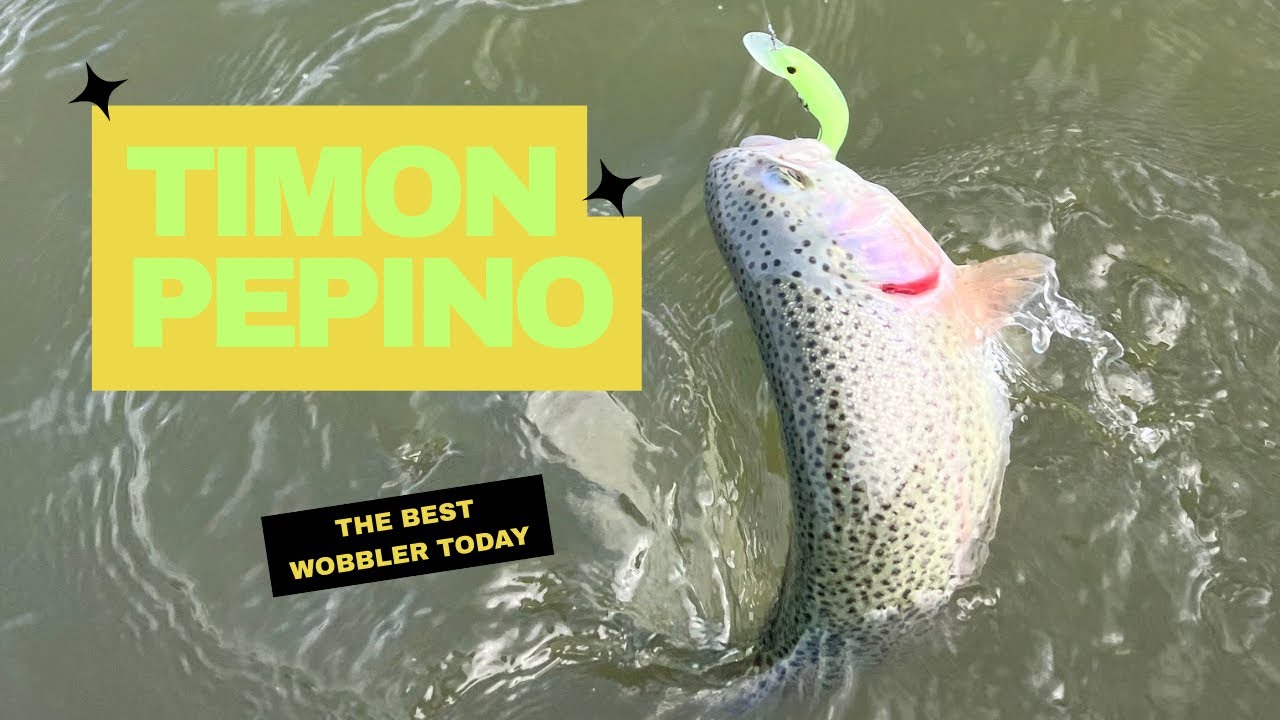 Ловля ставкової форелі. Area Fishing. Райдужна форель роздає на воблери. Воблер Timon Pepino.