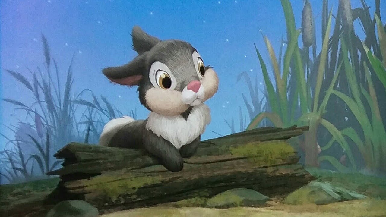 Good Night Thumper - Disney Bunnies Story - Read Aloud Storybook