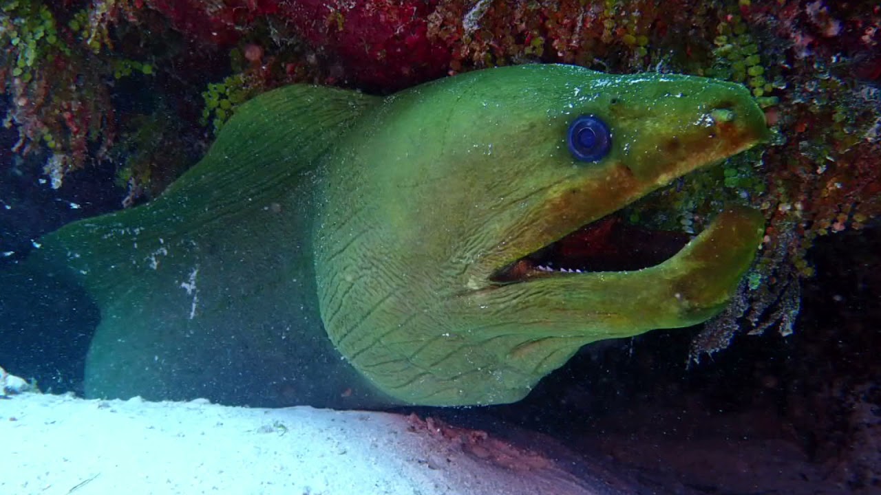 Mexico 3 en 4 december