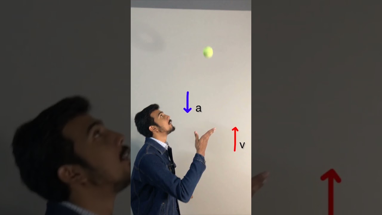 Motion of a vertically thrown Ball!