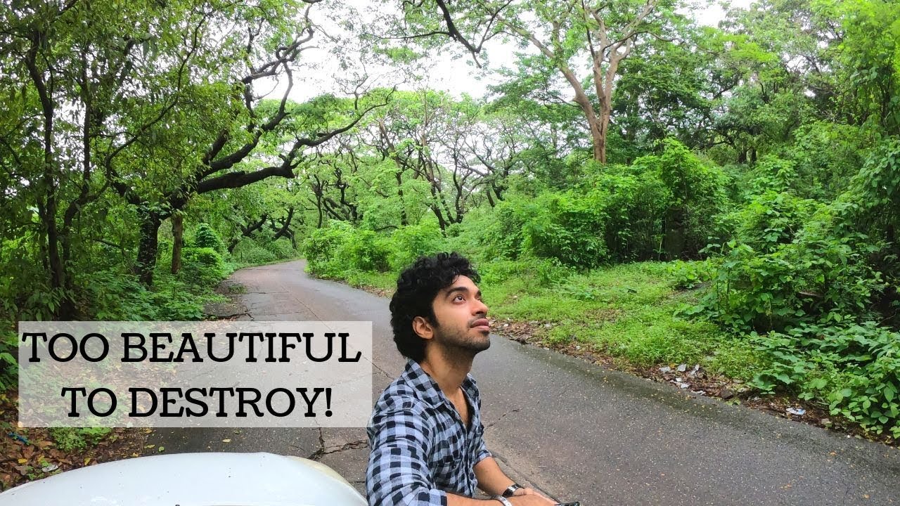 2238 TREES WILL BE CUT DOWN! | SAVE AAREY COLONY!