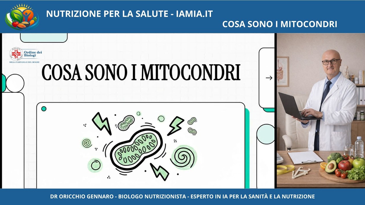 #1 COSA SONO I MITOCONDRI
