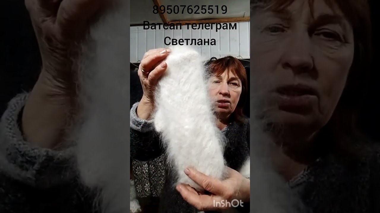 14 декабря 2025 г.