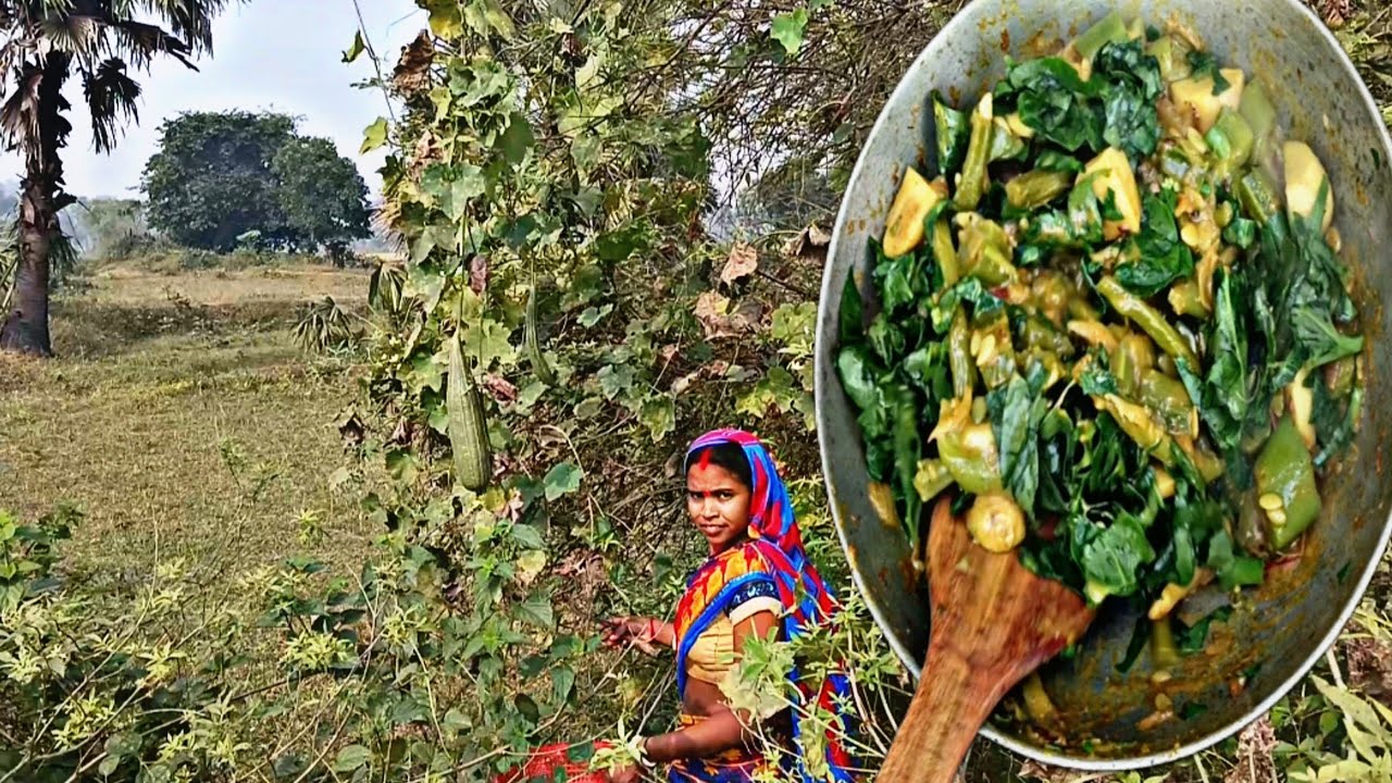 गांव का आसान तरीके से बना mix-veg 🍲🥙😍😋