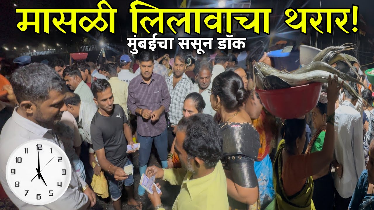 Mumbai Fish Auction at Sassoon Dock | मुंबईचा ससून डॉक मासळी लिलावाचा थरार!