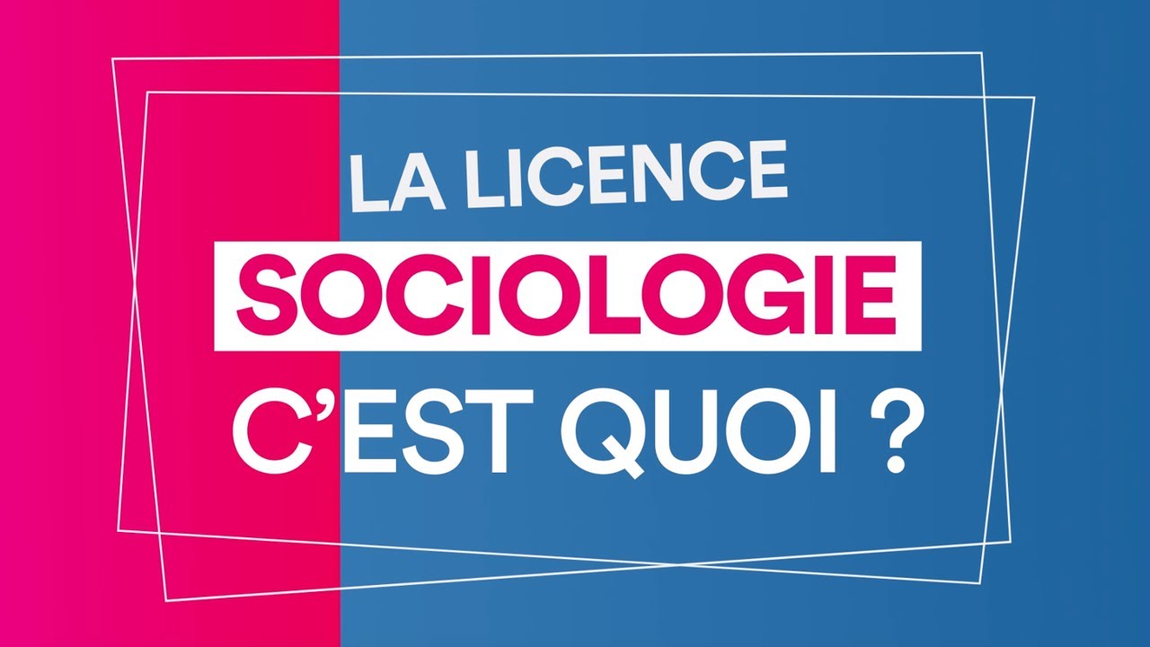 🧐 La licence Sciences sociales de l'Universit&eacute; catholique de l'Ouest