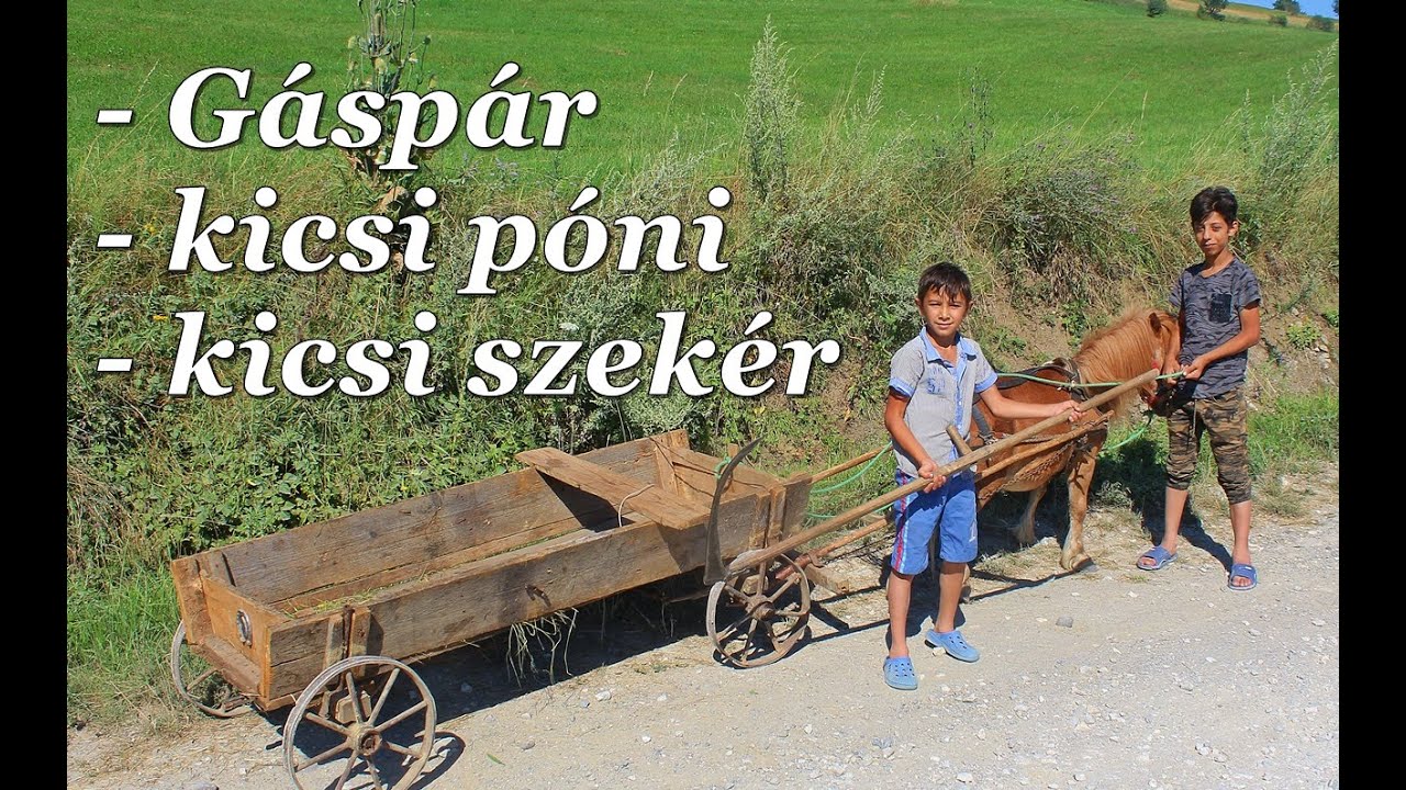 Székelyföldi pillanatok - Homoródalmáson találkoztunk a 10 éves Gáspárral!