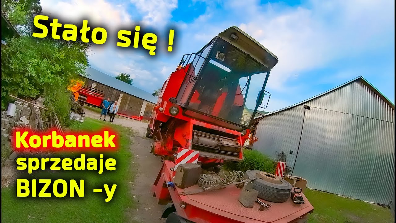 Водитель Питер доставляет бизона