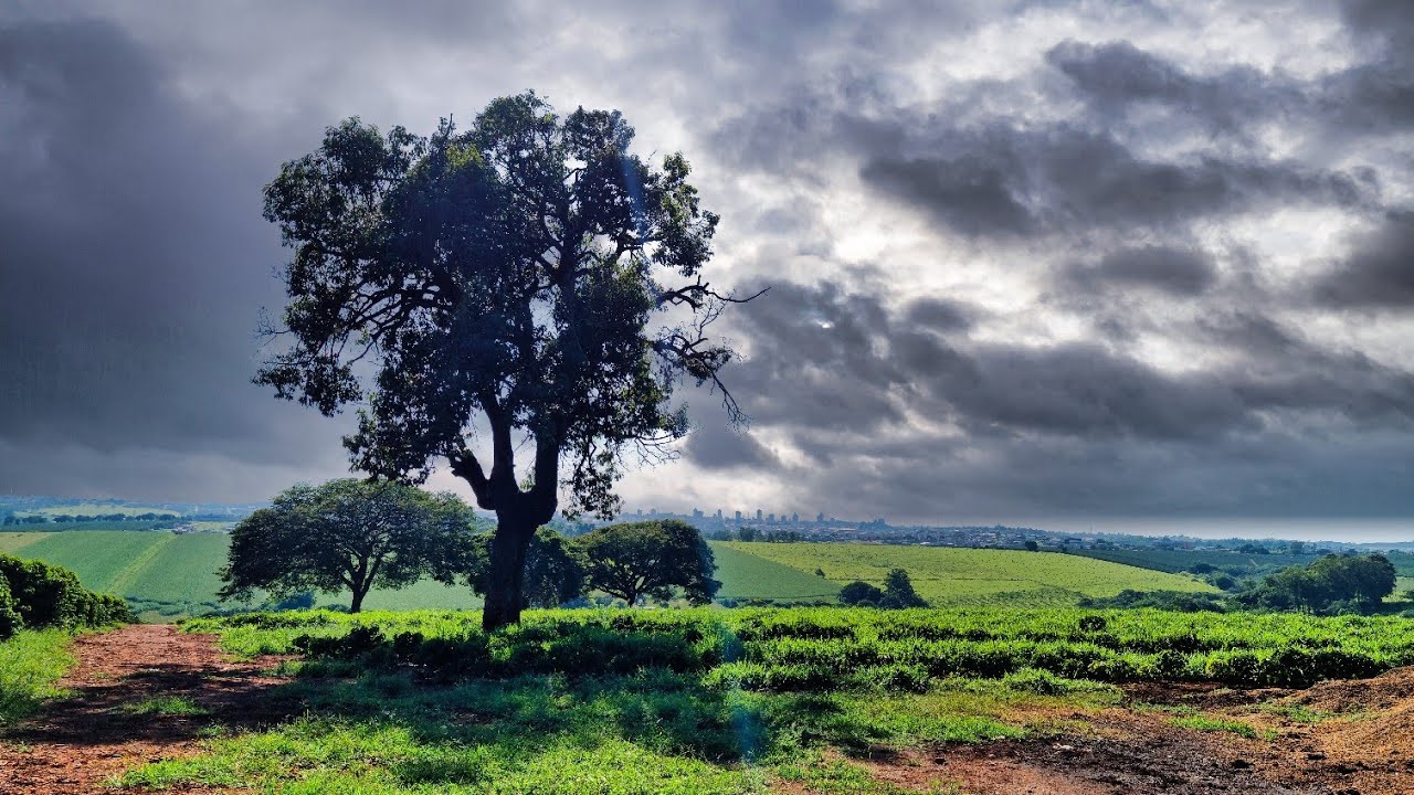 Encantado pela Natureza: Quase Me Perdi na Zona Rural de AlfenasEntre Estradas e Paisagens: 