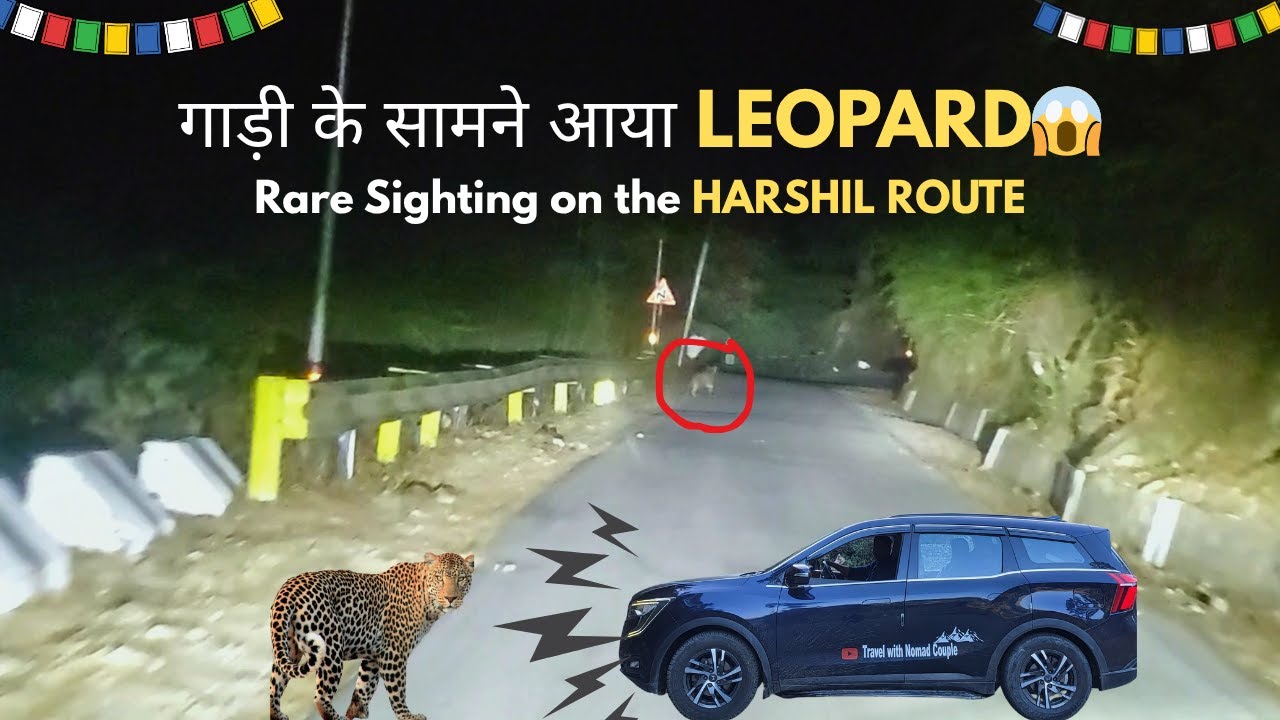 गाड़ी के सामने आया LEOPARD😰Rare Sighting of Leopard on HARSHIL VALLEY Route || Part-18