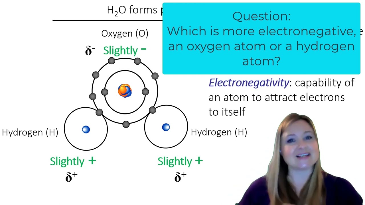 What do polar covalent bonds and hydrogen bonds have to do with water?