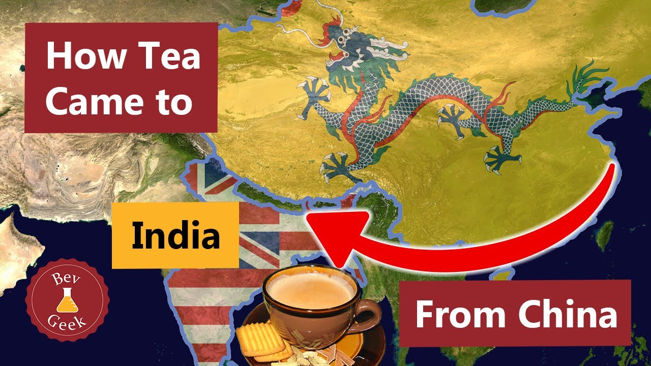 How Tea Came to India (From China via the British)