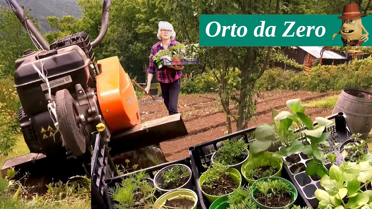 Come organizzare un orto da “zero”