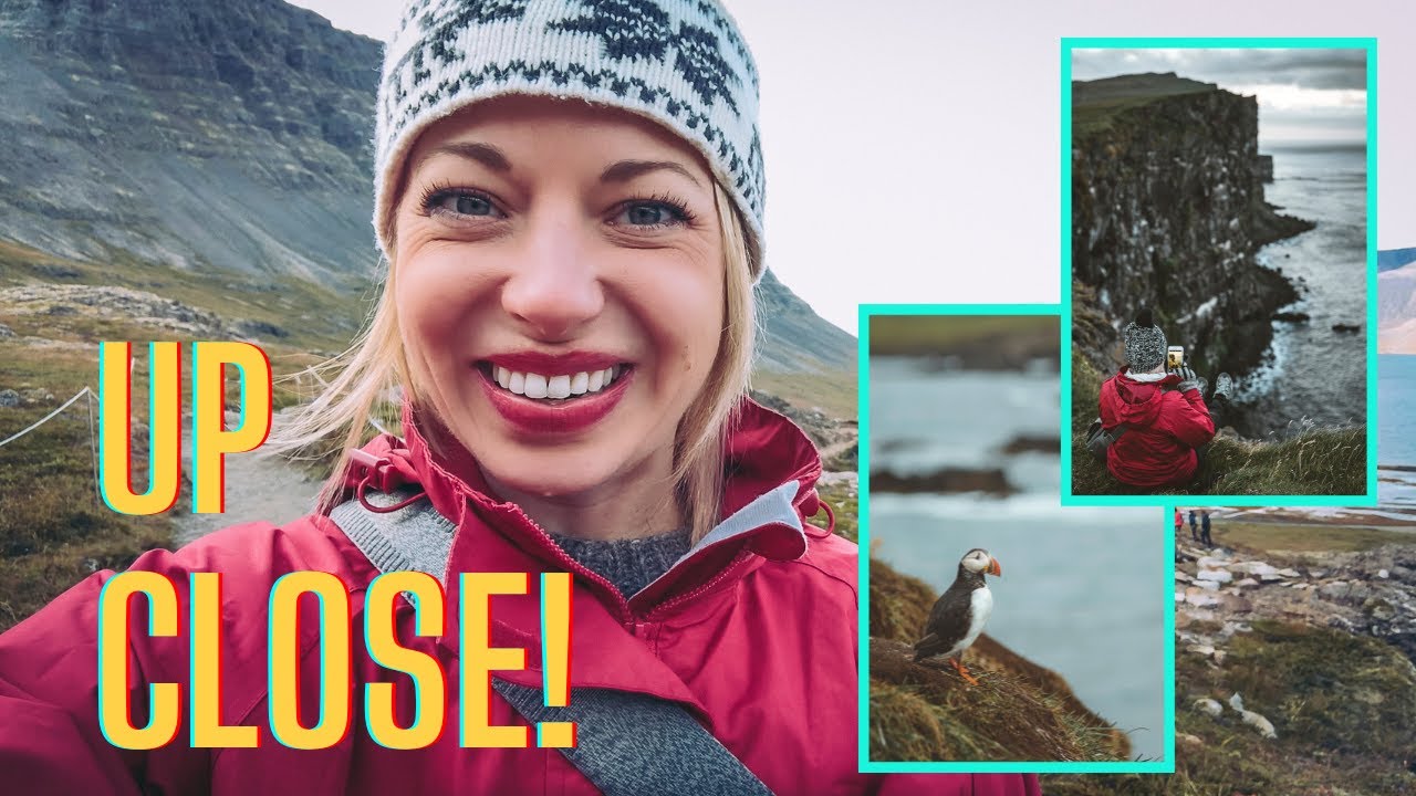 Where to see PUFFINS in Iceland (Top 5 locations)