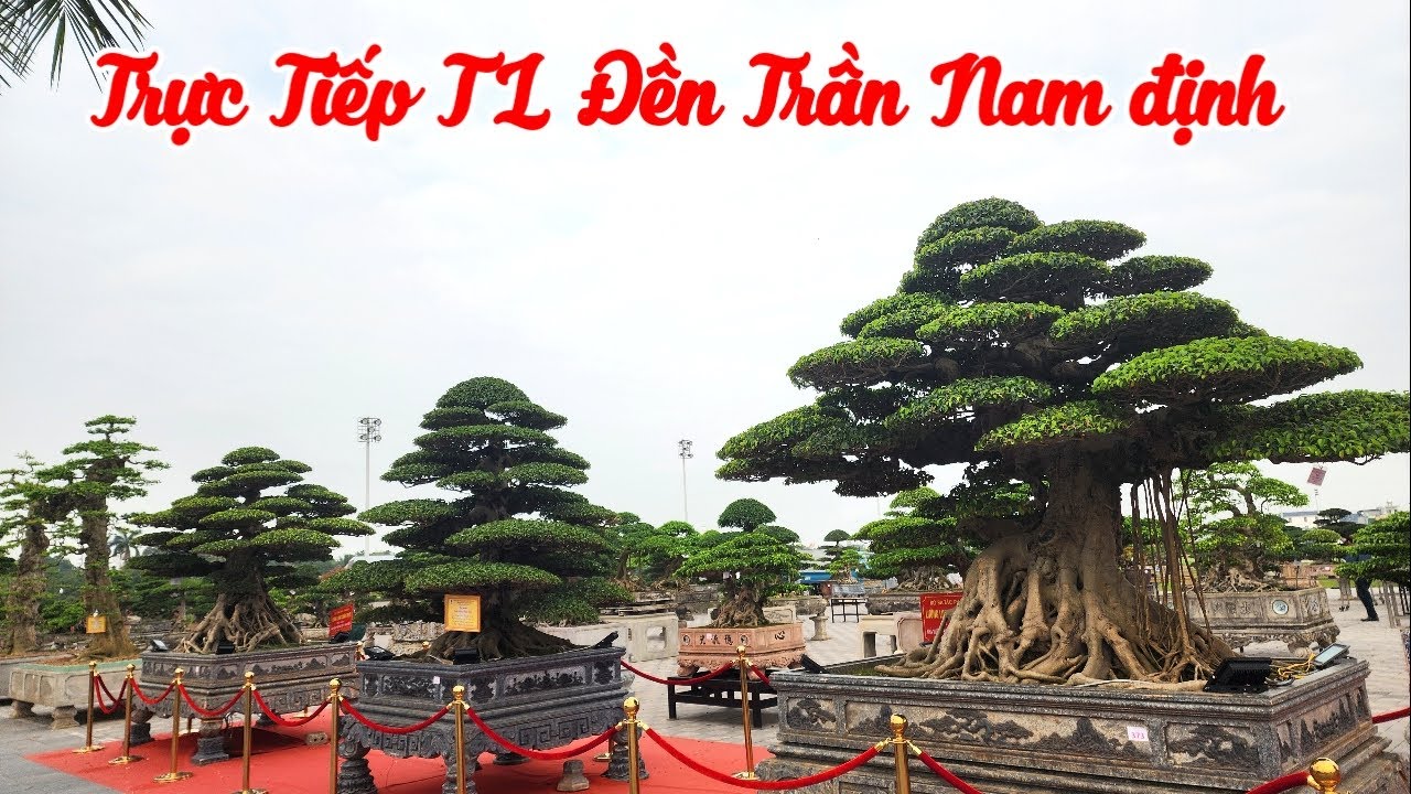 Trực tiếp tại triển lãm Đền Trần