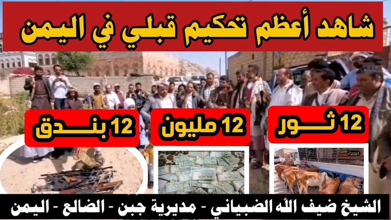 #شاهد_من_افضل_مواقف_القبيله_في_اليمن تحكيم قبلي ب ١٢ بندق و١٢ ثور و١٢ مليون الشيخ ضيف الله الضبياني