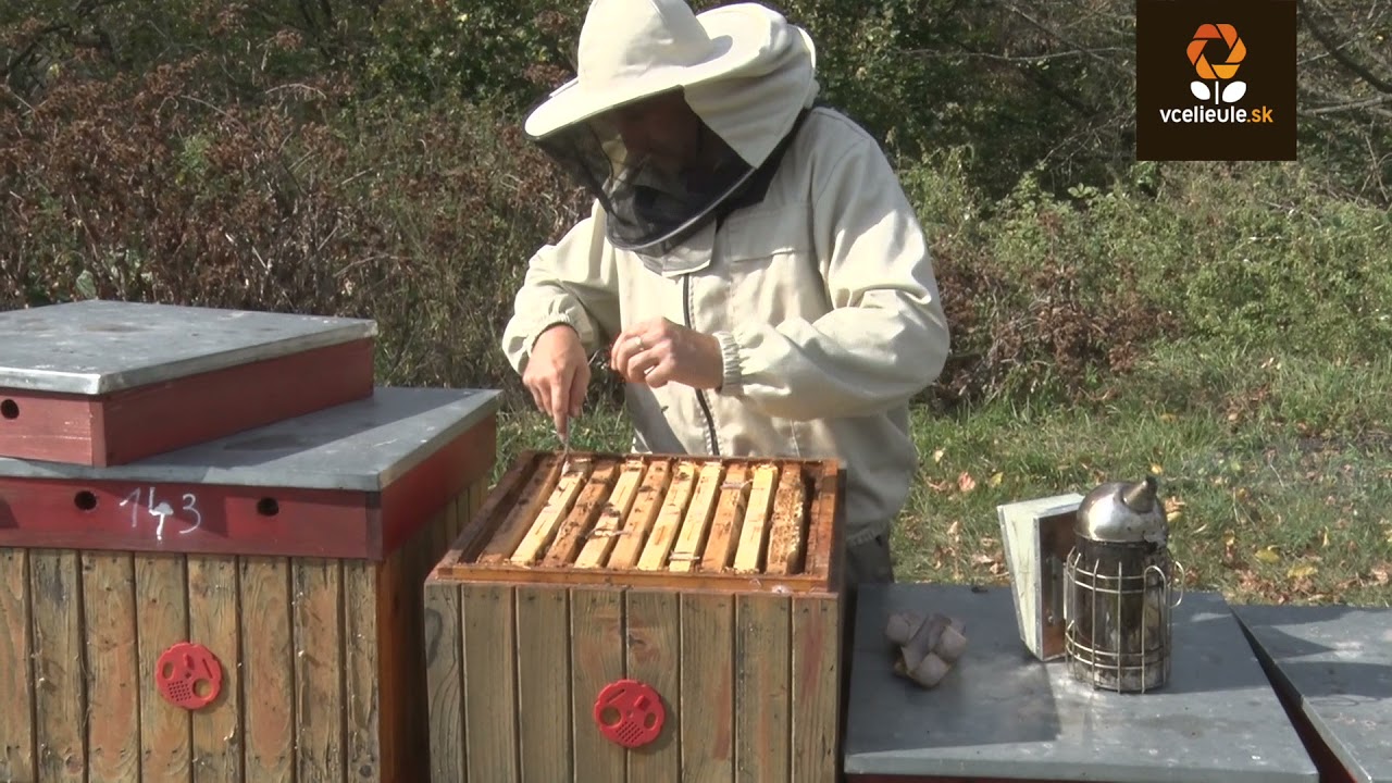 Včely na jeseň - Včelárstvo Jozef Ľupták