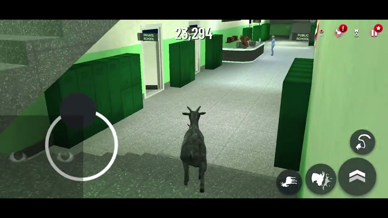 goat goes to school ‘n does stuff