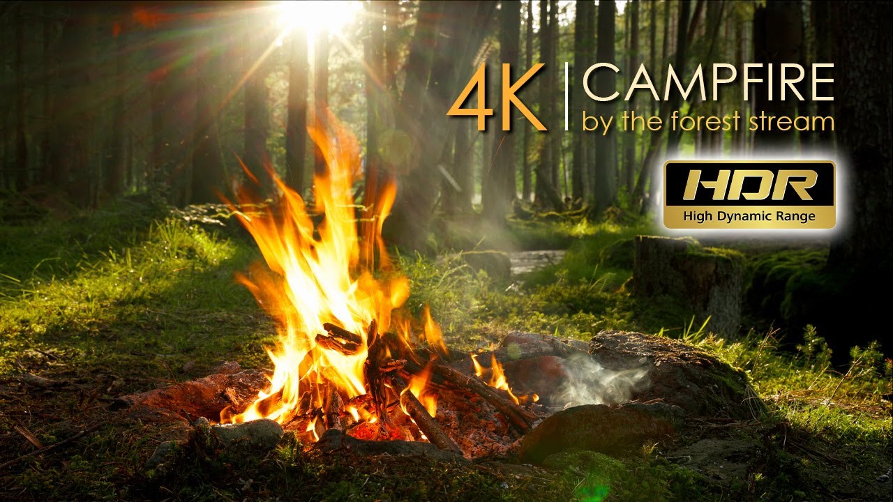 4K HDR Костер в лесу🌲No Loop 🔥 Звуки в реальном времени 🪵 Высокое качество