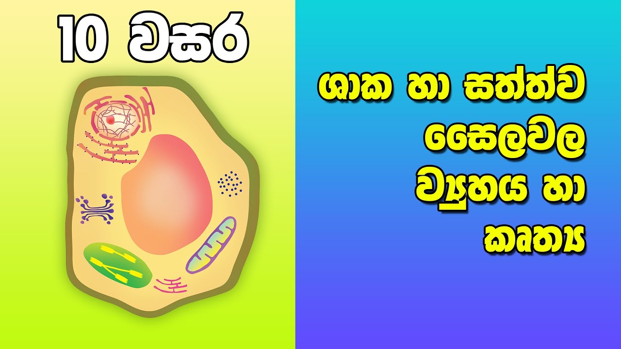 Grade 10 Science in Sinhala Medium |  10 විද්‍යාව 6 පාඩම| ශාක හා සත්ව සෛලවල ව්‍යුහය හා කෘත්‍යය