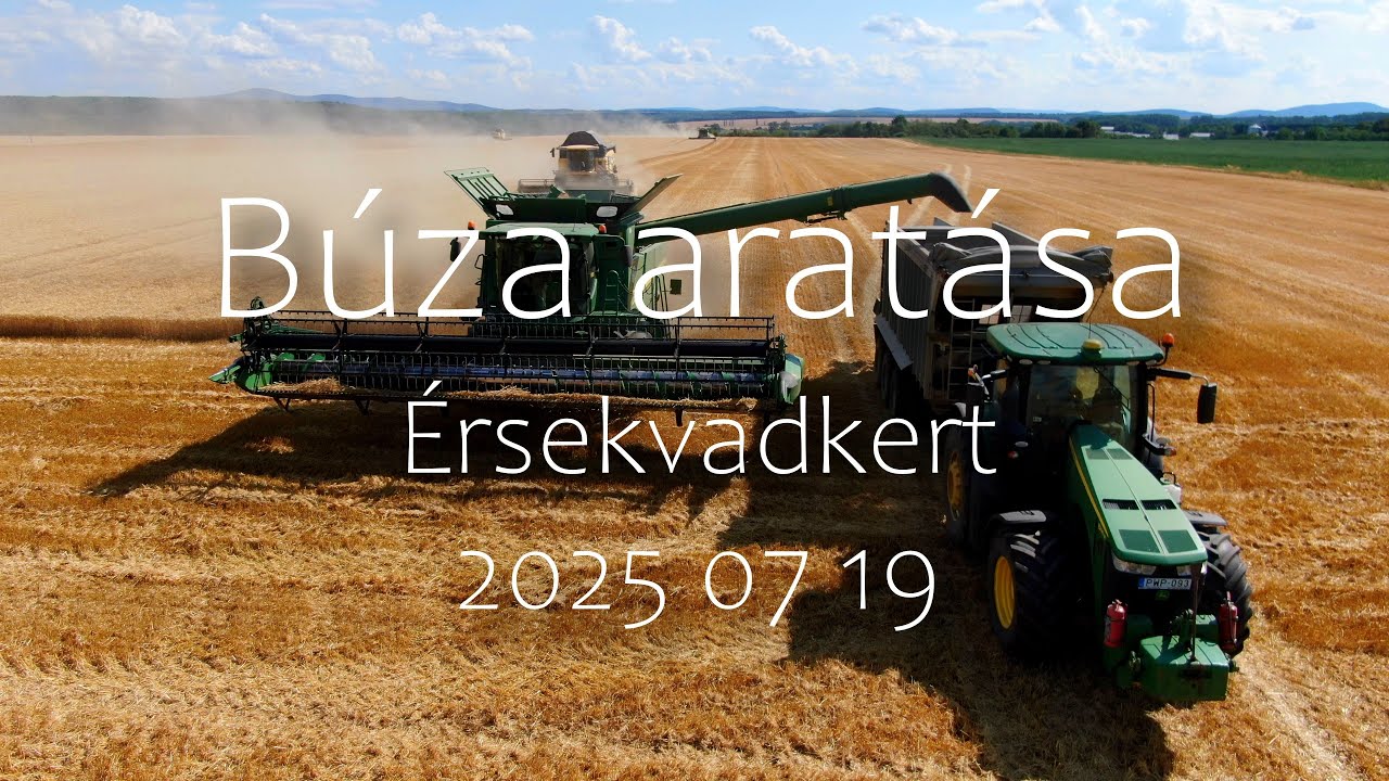 Búza aratás  -  2025 Érsekvadkert