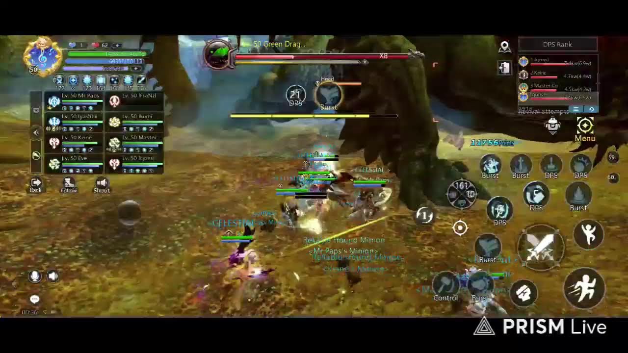 DNM CLASSIC | GREEN DRAGON NEST