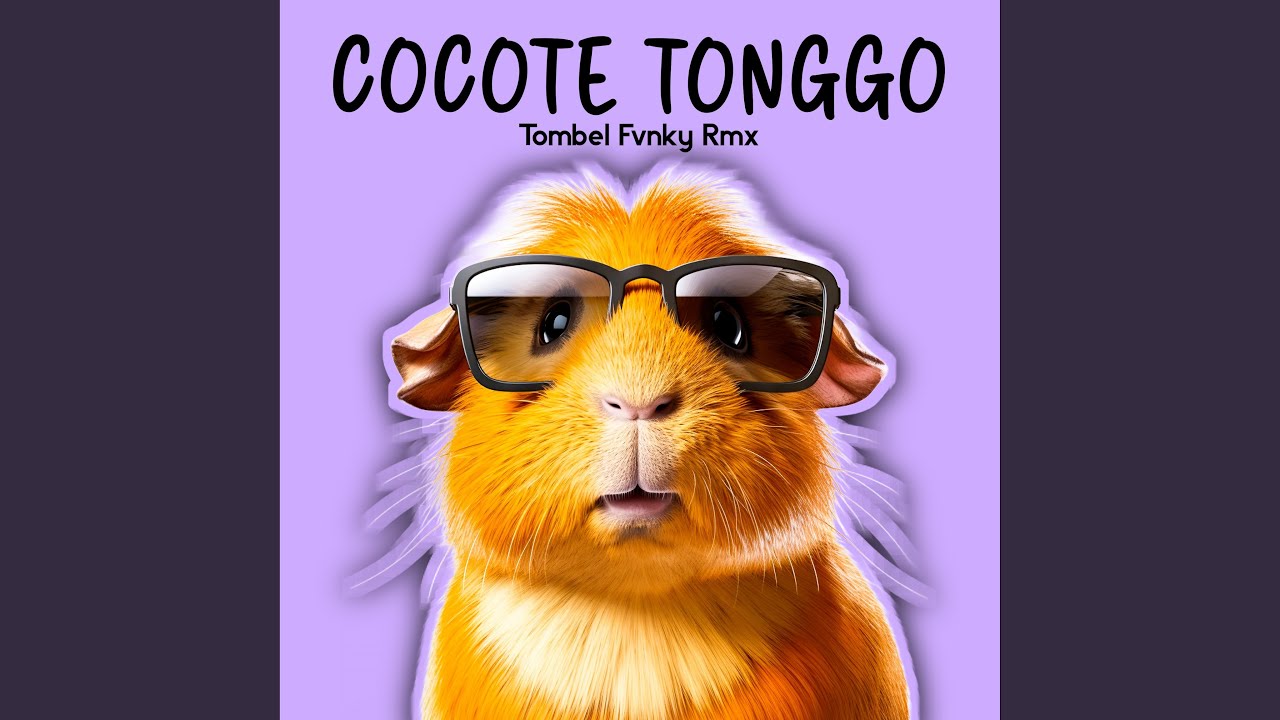 Cocote Tonggo