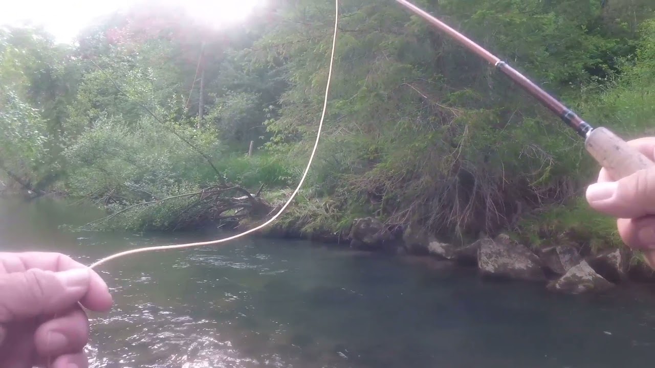 Fliegenfischen an der Trauchgauer Ach