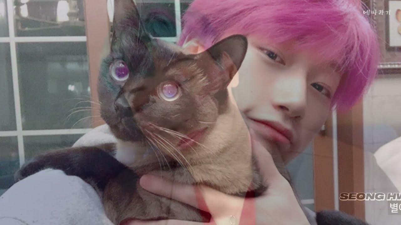 [에이티즈/산] 산이모음집