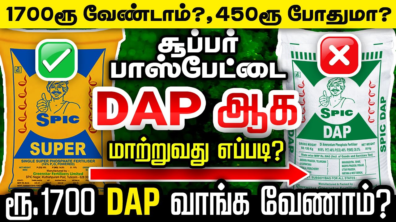 1200 ரூபாயை எளிதாக மிச்சப்படுத்தலாமா? SSP - சூப்பர் பாஸ்பேட்டை DAP உரமாக மாற்றுவது எப்படி ? | TCG |