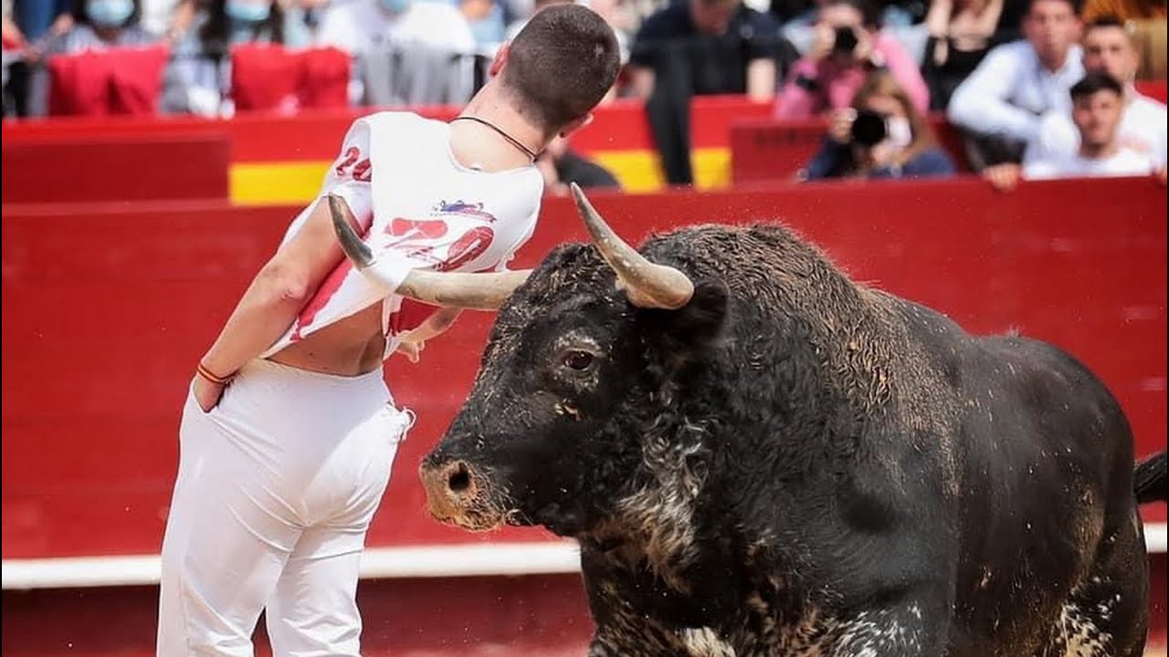 🟢2022 VALENCIA 07 ◾ INTEGRA GRAN Concurso de Recortes Fallas